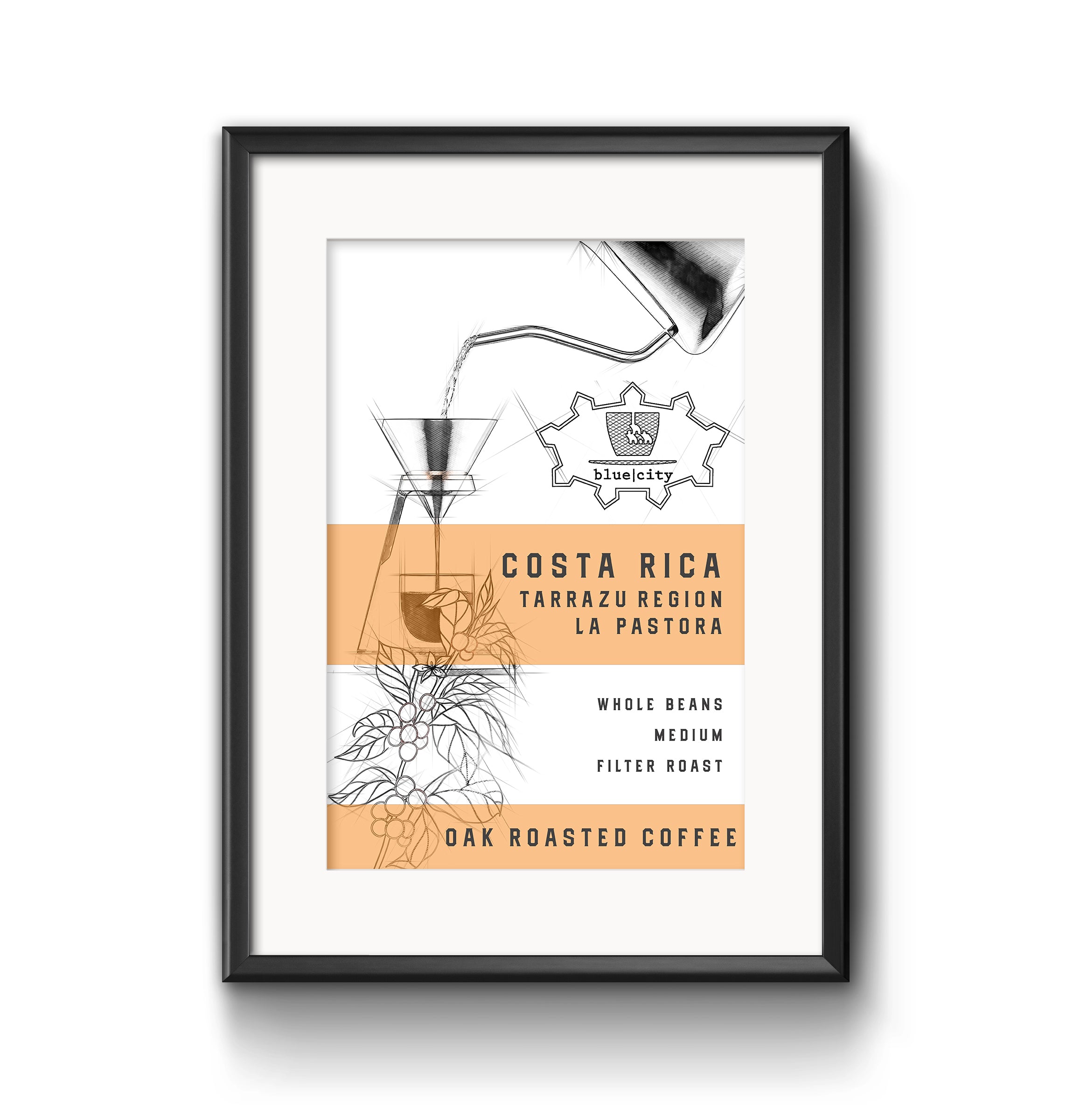 Costa Rica- La Pastora  Filter Roast 500g